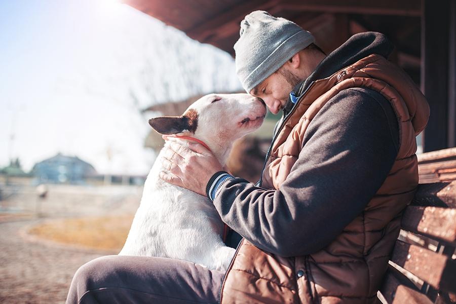 Article Cards Featured Image Man sitting on the bench with his dog and sharing moments of  love, happiness and  joy with his bull terrier. Pets and animals. Lifestyle concept