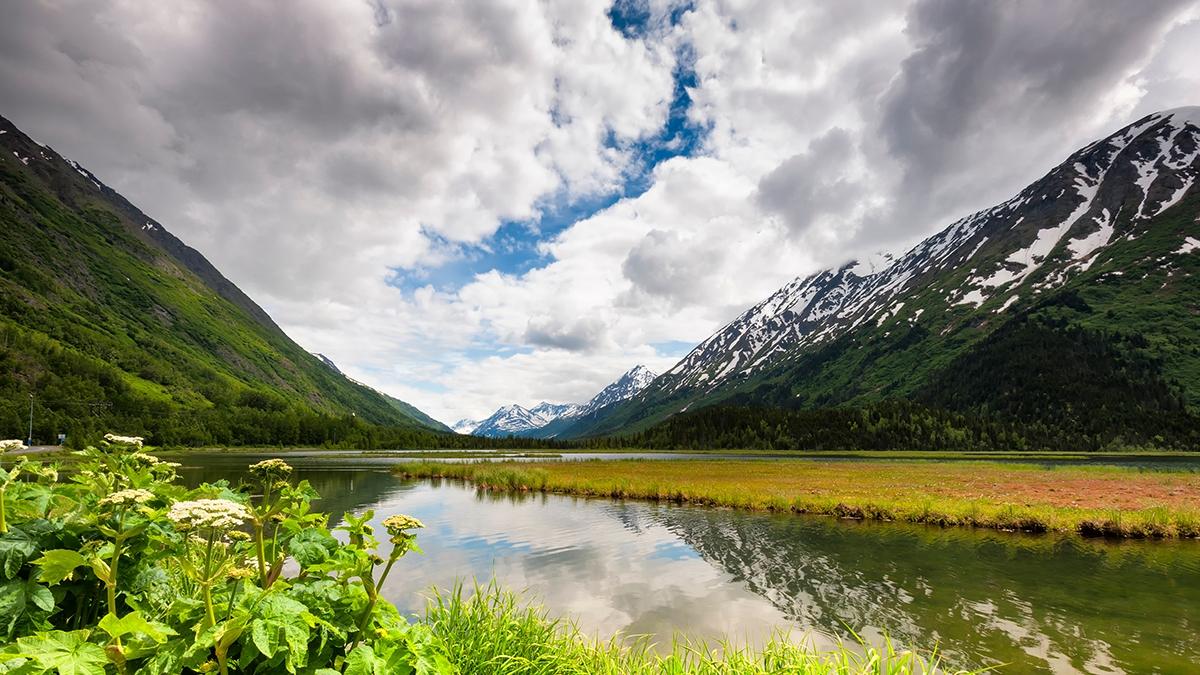 prince william sound national forest