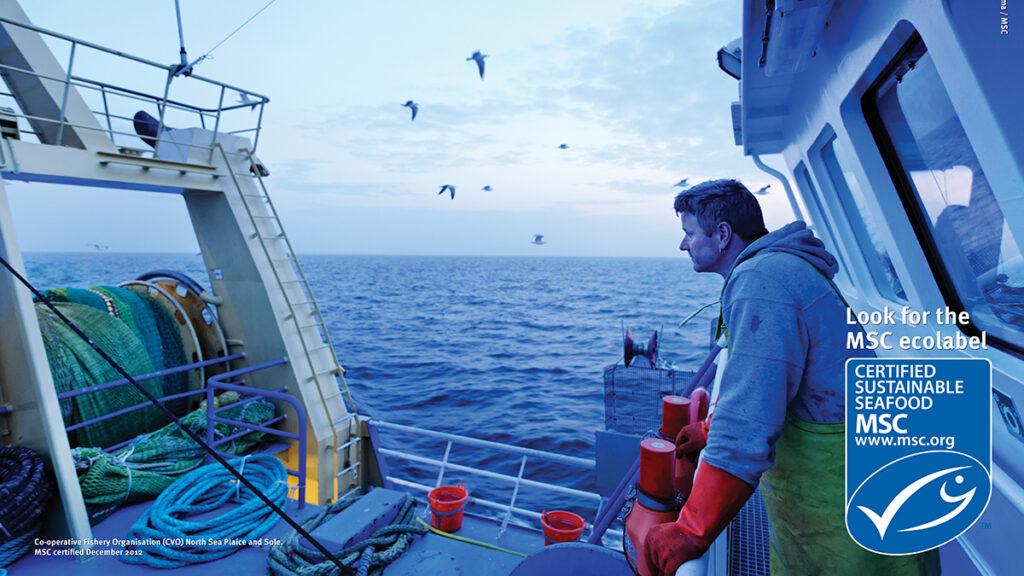 Trawling methods fish haul