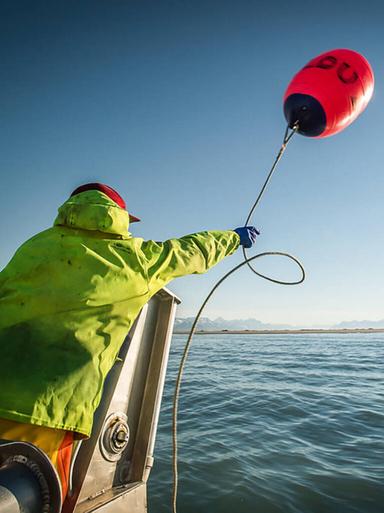 Fisherman throwing a buoy off the side of a boat.